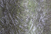 Hoath fibreglass roof work