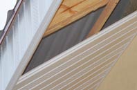 rated Hoath soffit repair companies
